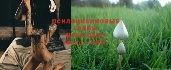 прущая мука Михайловск