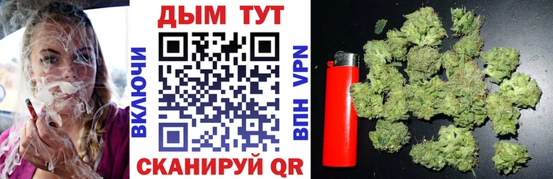 закладки  Вытегра  Марихуана конопля 